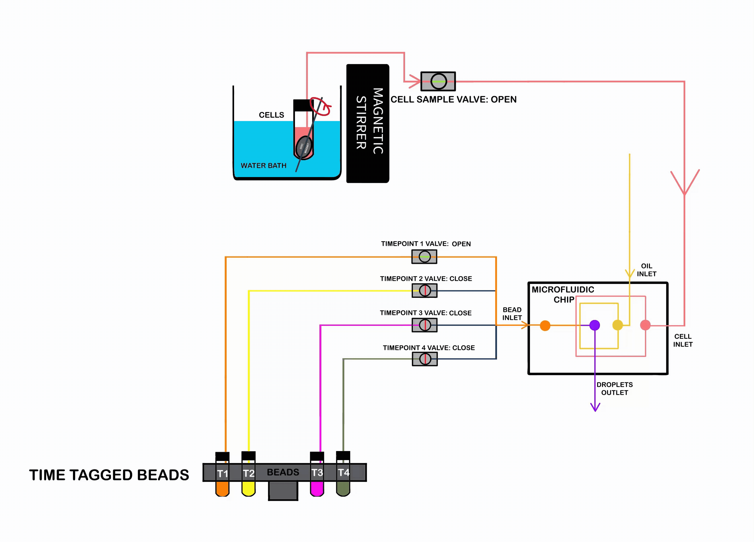 ChronoSeq Device